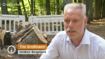 Rekordsommer hinterlässt Spuren im Bürgerpark, Radio Bremen berichtete